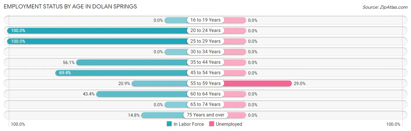 Employment Status by Age in Dolan Springs