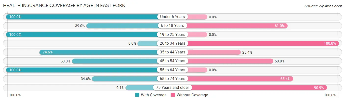 Health Insurance Coverage by Age in East Fork