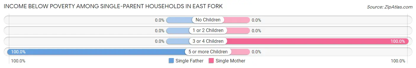 Income Below Poverty Among Single-Parent Households in East Fork