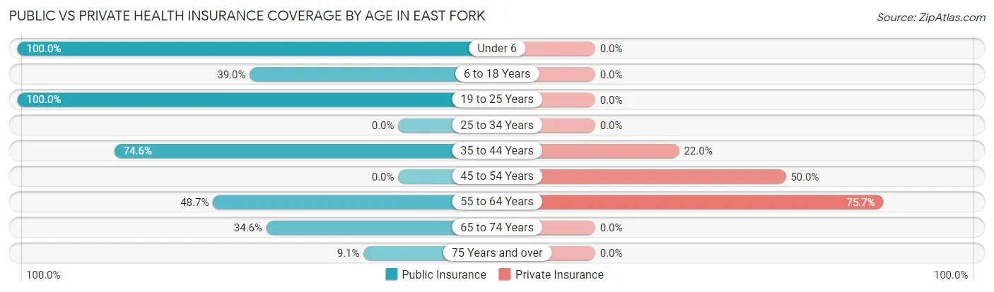 Public vs Private Health Insurance Coverage by Age in East Fork