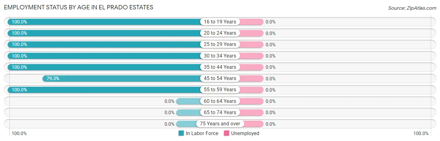 Employment Status by Age in El Prado Estates