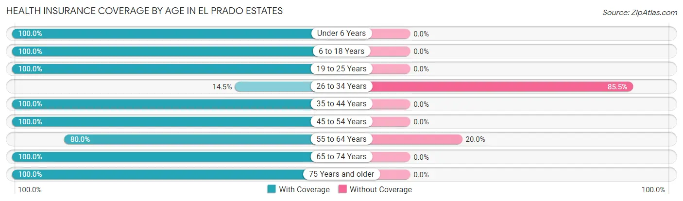 Health Insurance Coverage by Age in El Prado Estates