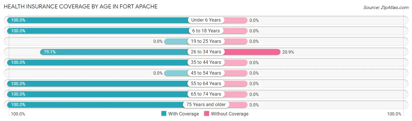 Health Insurance Coverage by Age in Fort Apache