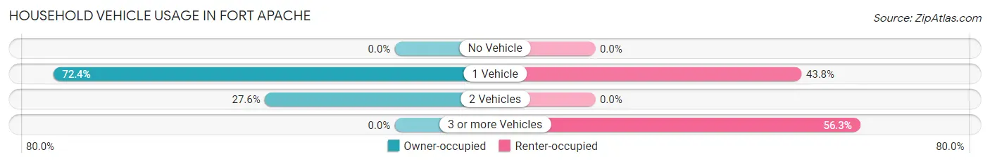 Household Vehicle Usage in Fort Apache