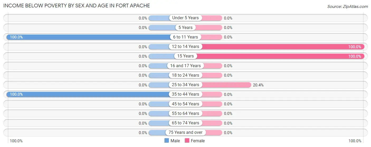 Income Below Poverty by Sex and Age in Fort Apache