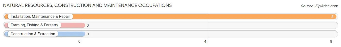 Natural Resources, Construction and Maintenance Occupations in Freedom Acres