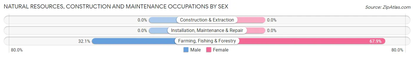 Natural Resources, Construction and Maintenance Occupations by Sex in Gadsden
