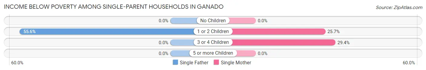Income Below Poverty Among Single-Parent Households in Ganado