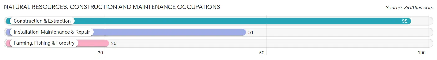 Natural Resources, Construction and Maintenance Occupations in Green Valley