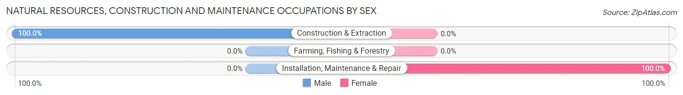 Natural Resources, Construction and Maintenance Occupations by Sex in Hayden
