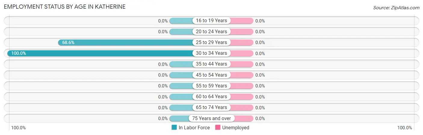 Employment Status by Age in Katherine