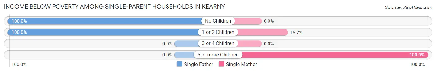 Income Below Poverty Among Single-Parent Households in Kearny