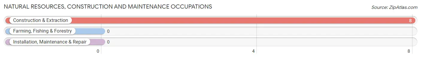 Natural Resources, Construction and Maintenance Occupations in Klagetoh