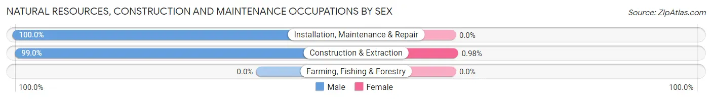 Natural Resources, Construction and Maintenance Occupations by Sex in Lake Havasu City