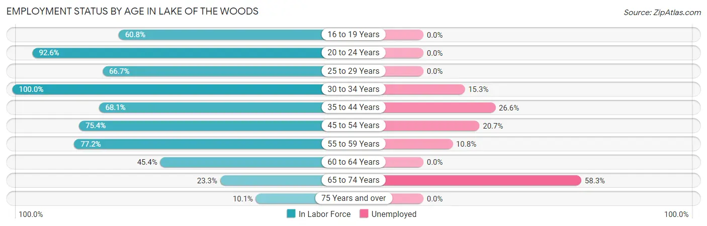 Employment Status by Age in Lake of the Woods