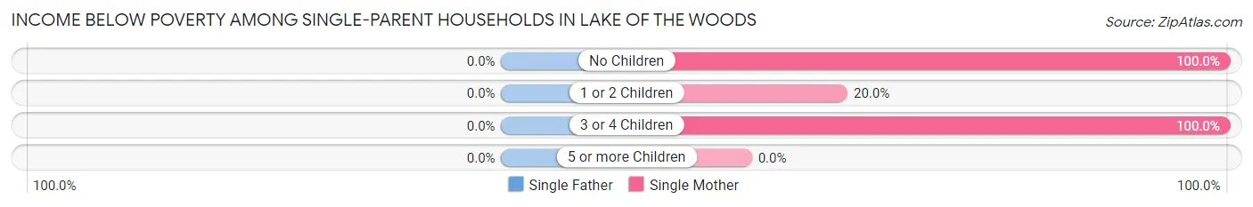 Income Below Poverty Among Single-Parent Households in Lake of the Woods