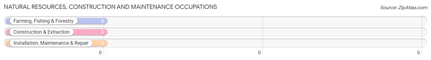 Natural Resources, Construction and Maintenance Occupations in Lazy Y U