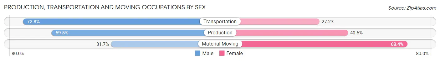 Production, Transportation and Moving Occupations by Sex in Litchfield Park