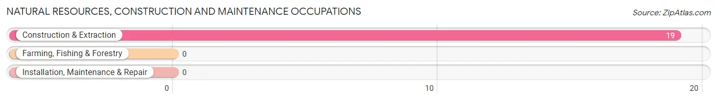 Natural Resources, Construction and Maintenance Occupations in Lower Santan Village