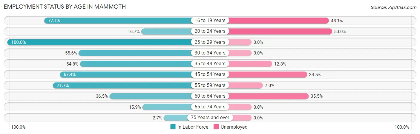 Employment Status by Age in Mammoth