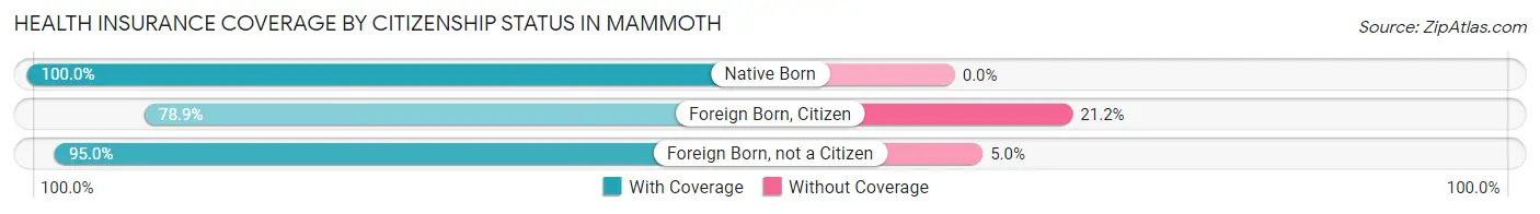 Health Insurance Coverage by Citizenship Status in Mammoth