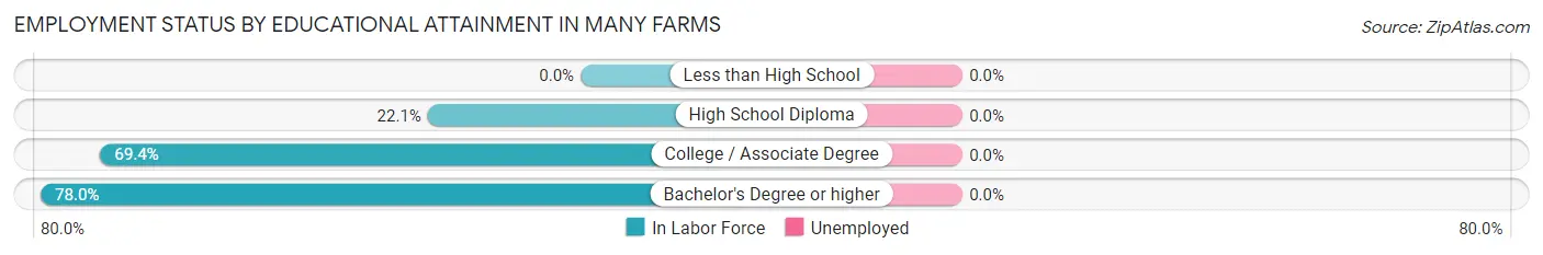 Employment Status by Educational Attainment in Many Farms