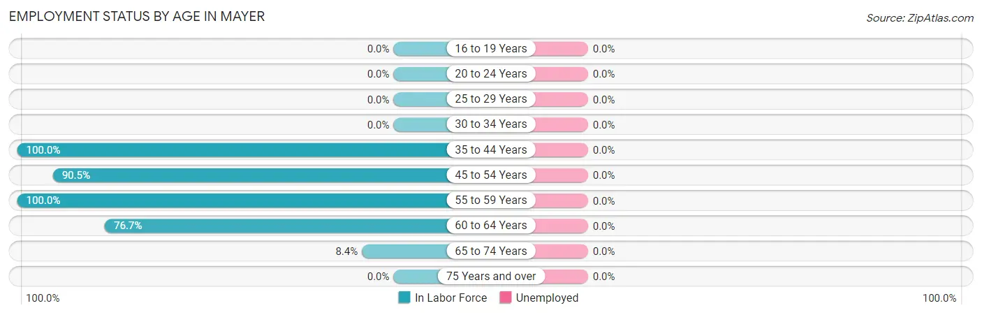 Employment Status by Age in Mayer