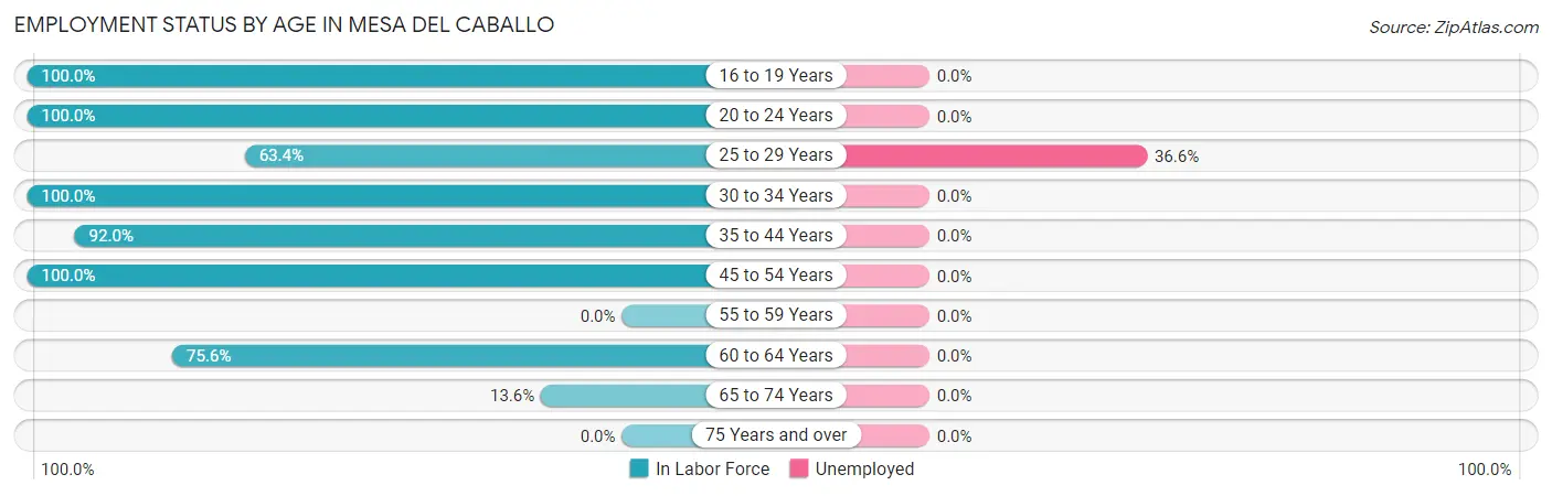 Employment Status by Age in Mesa del Caballo