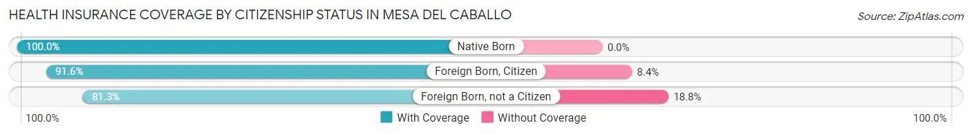 Health Insurance Coverage by Citizenship Status in Mesa del Caballo