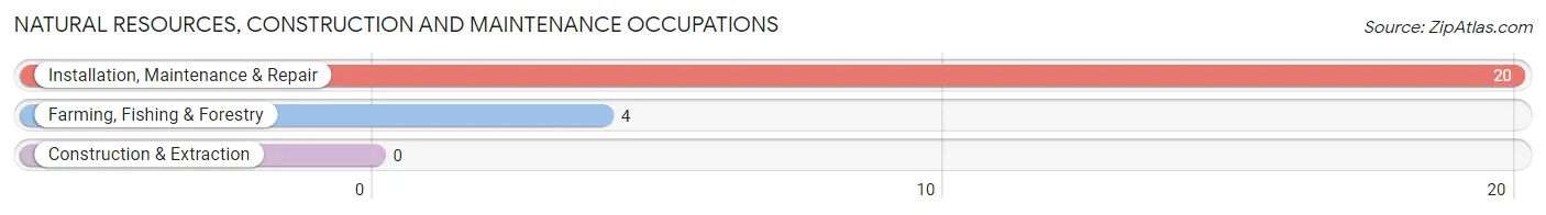 Natural Resources, Construction and Maintenance Occupations in Mesquite Creek