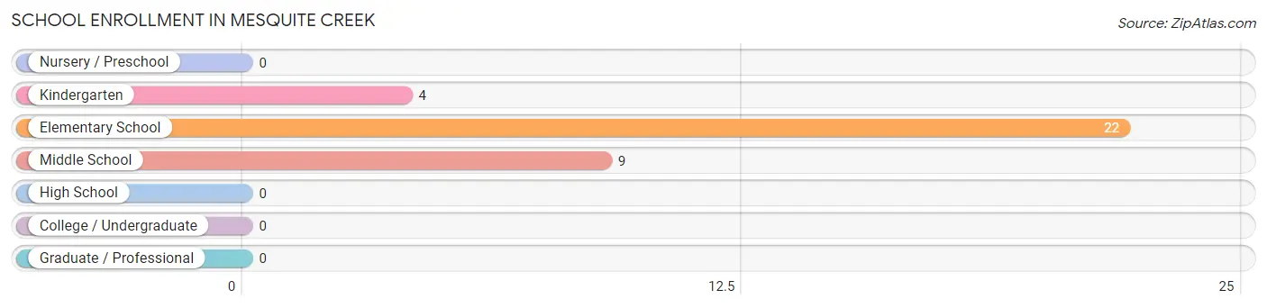 School Enrollment in Mesquite Creek