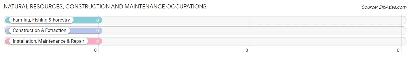 Natural Resources, Construction and Maintenance Occupations in Moccasin