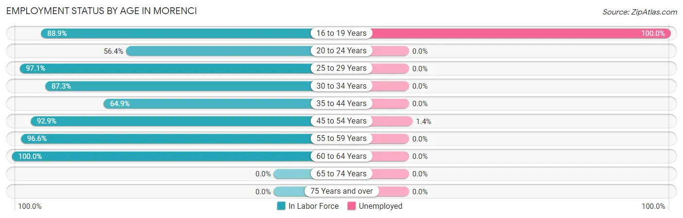 Employment Status by Age in Morenci