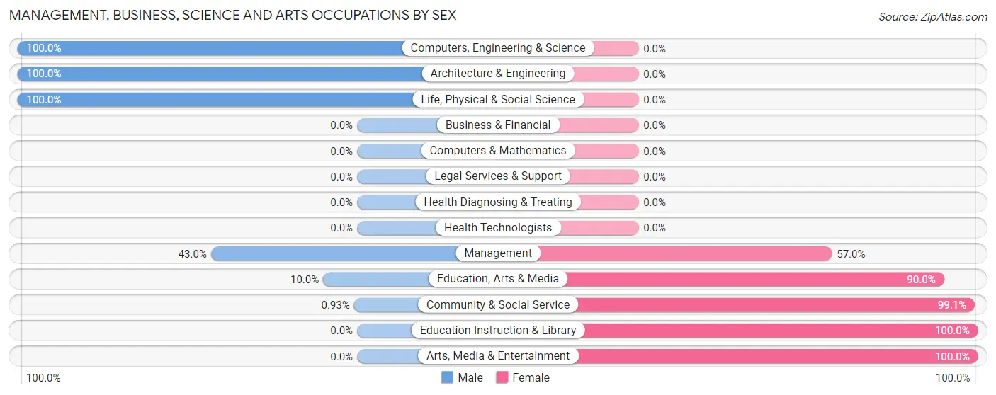 Management, Business, Science and Arts Occupations by Sex in Morenci