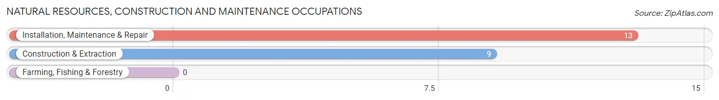 Natural Resources, Construction and Maintenance Occupations in Mountainaire