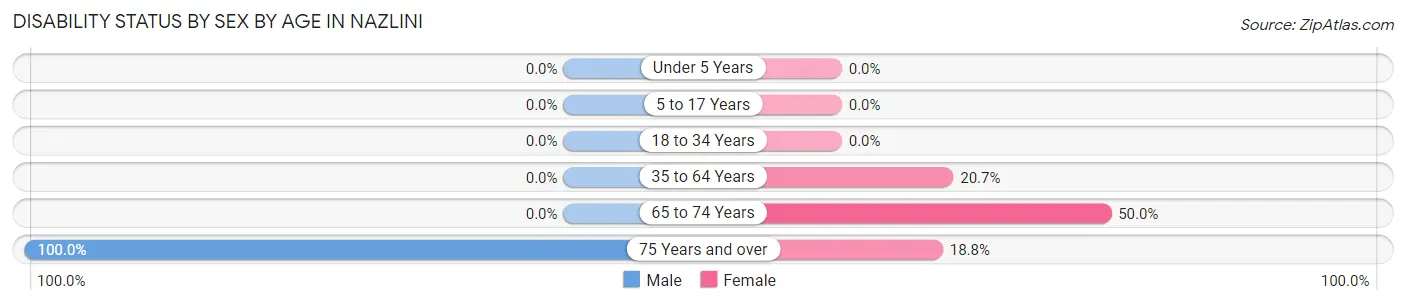 Disability Status by Sex by Age in Nazlini