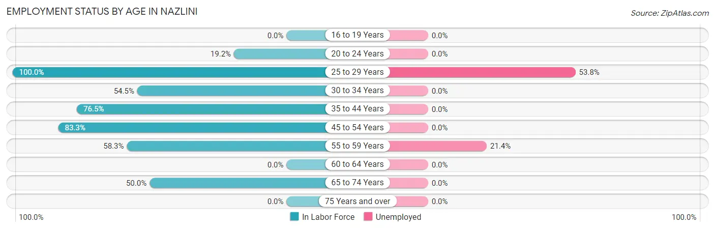 Employment Status by Age in Nazlini