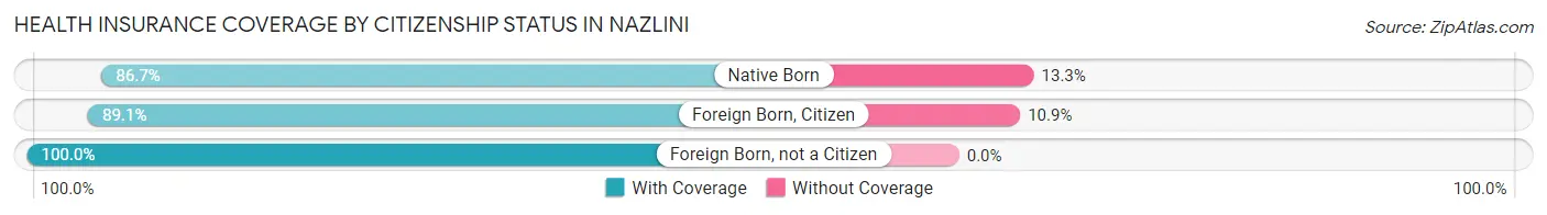 Health Insurance Coverage by Citizenship Status in Nazlini