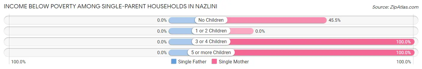 Income Below Poverty Among Single-Parent Households in Nazlini