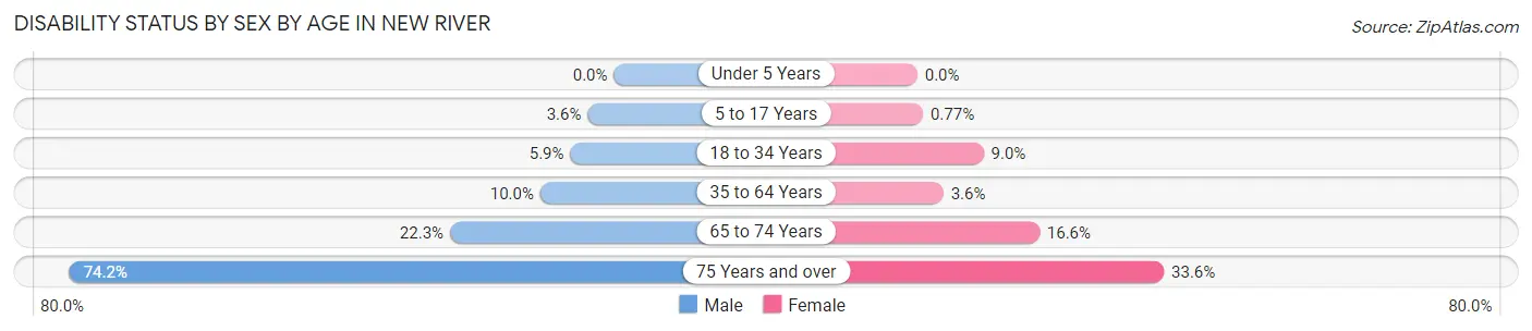Disability Status by Sex by Age in New River