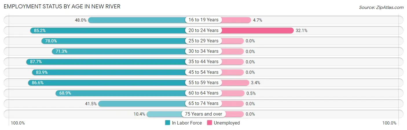 Employment Status by Age in New River