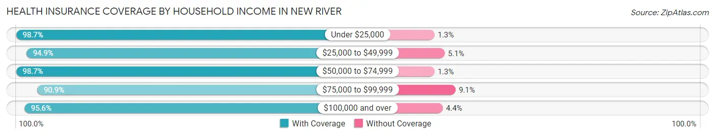 Health Insurance Coverage by Household Income in New River
