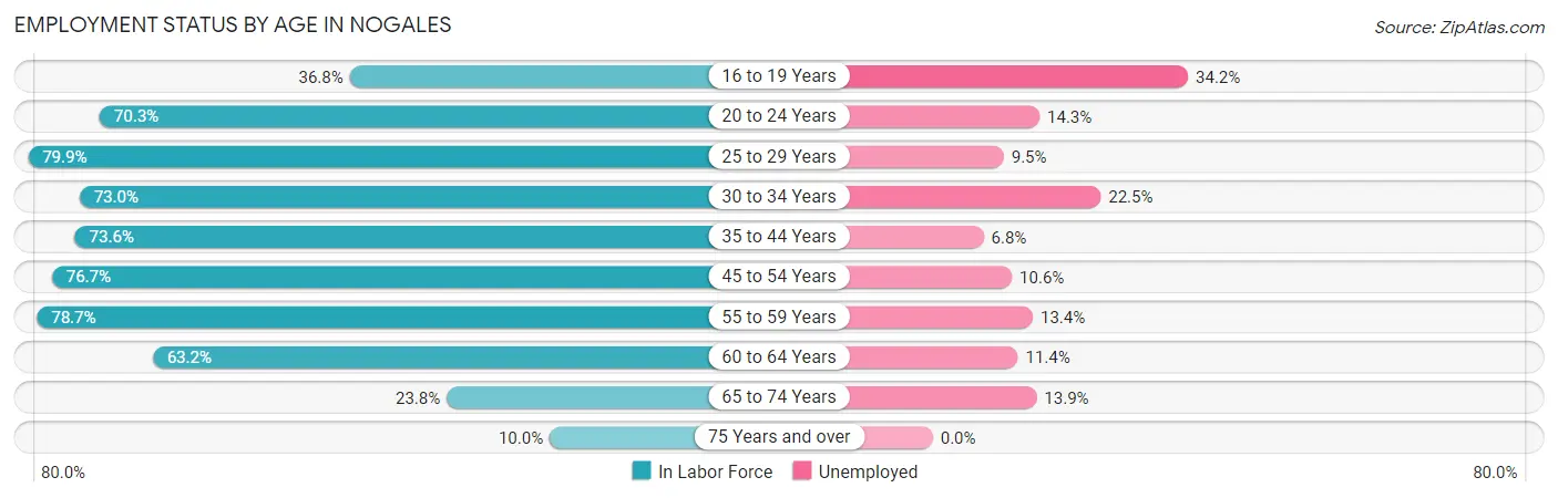 Employment Status by Age in Nogales