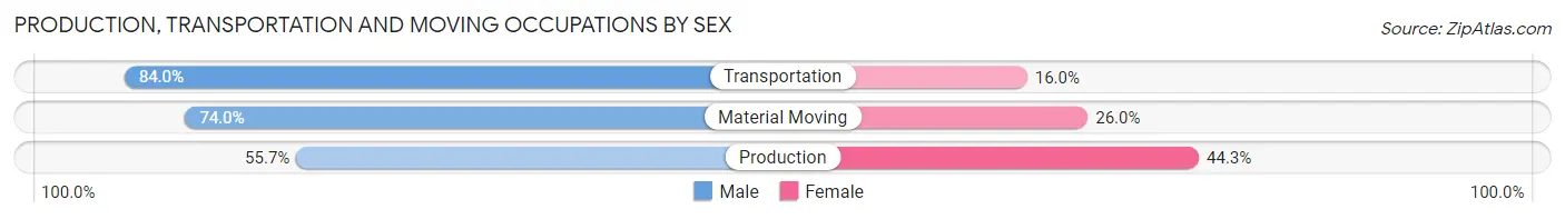 Production, Transportation and Moving Occupations by Sex in Nogales
