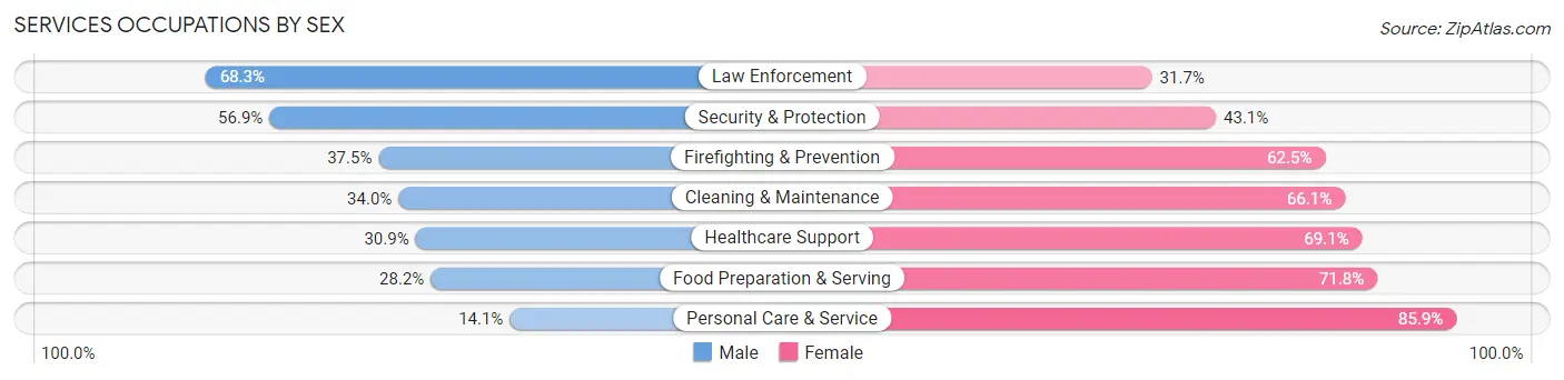Services Occupations by Sex in Nogales