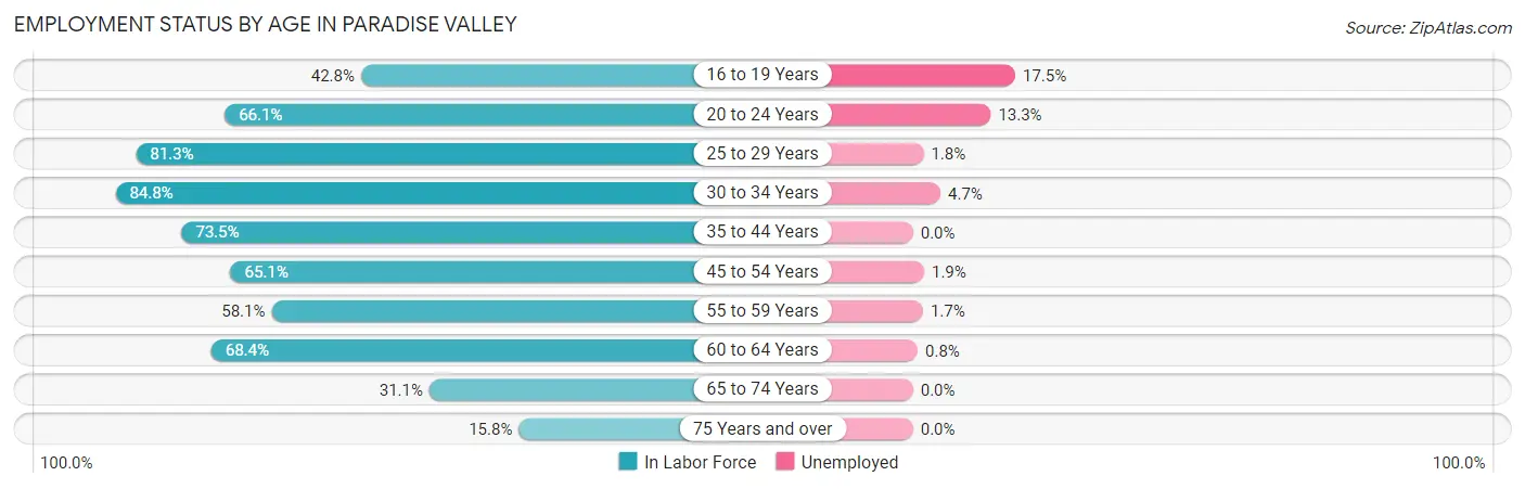 Employment Status by Age in Paradise Valley