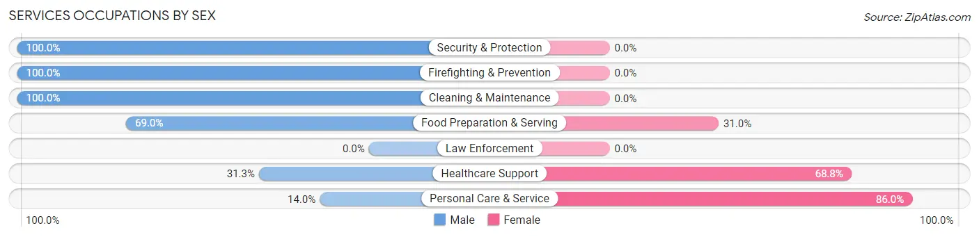 Services Occupations by Sex in Paradise Valley