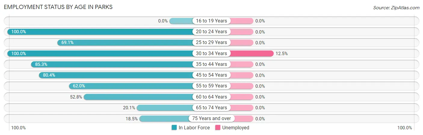 Employment Status by Age in Parks