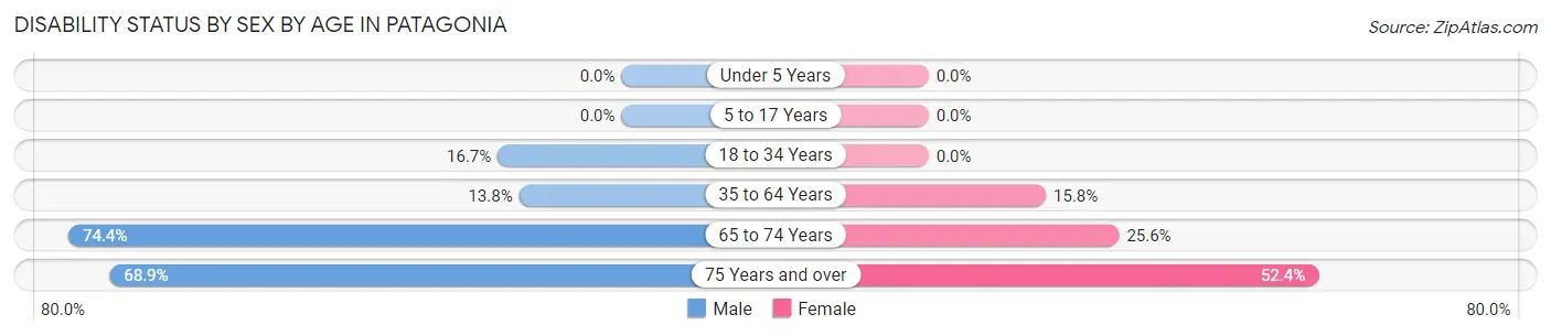 Disability Status by Sex by Age in Patagonia