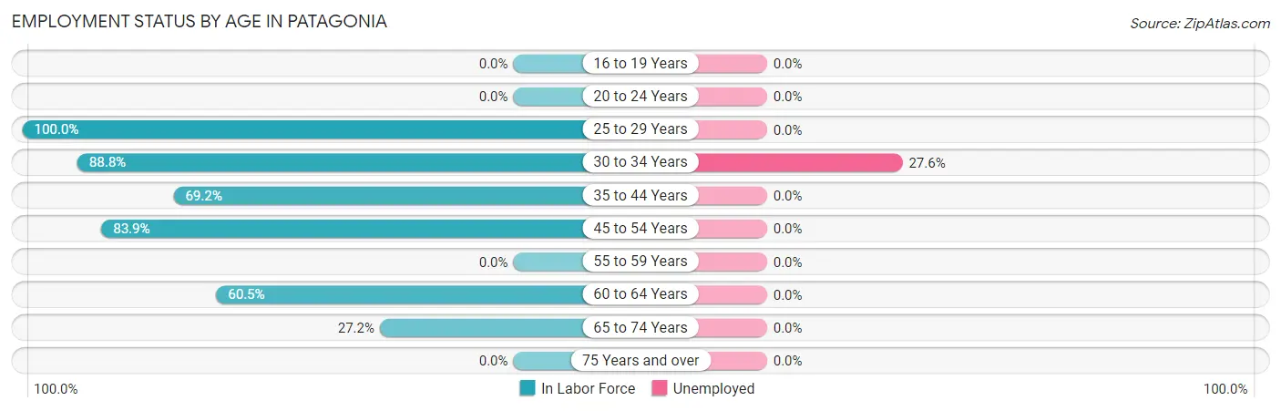 Employment Status by Age in Patagonia